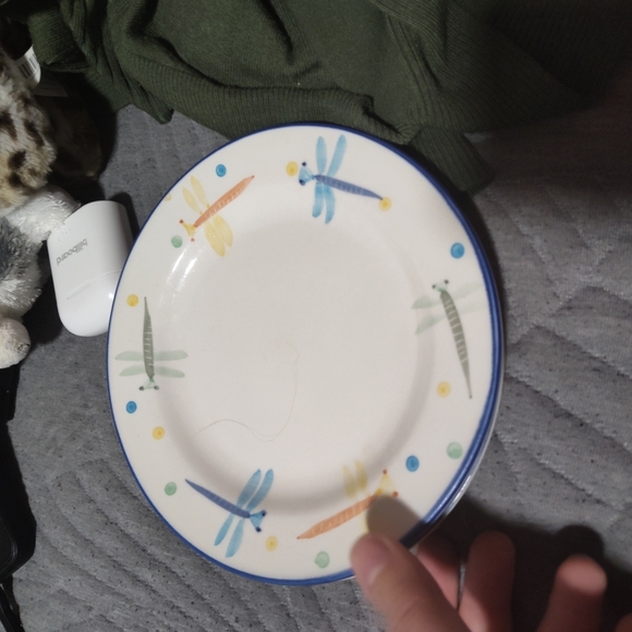 Dragonfly Patterned Plate